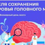 Каждый год во всем мире в июле отмечается Всемирный день мозга — важное событие, направленное на повышение осведомлённости о здоровье нервной системы и профилактике заболеваний головного мозга