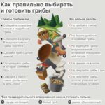 Как выбирать и готовить грибы.Напоминаем про основные правила безопасности.